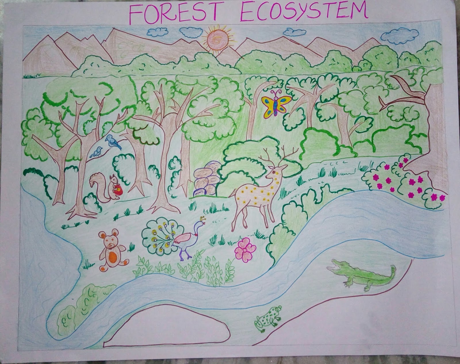 Ecosystem Drawing Sketch