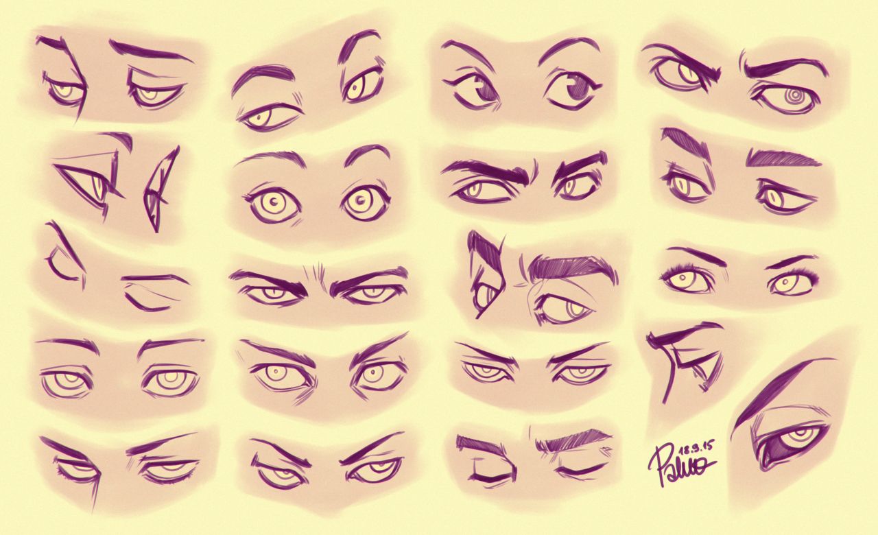 Eye Reference Drawing