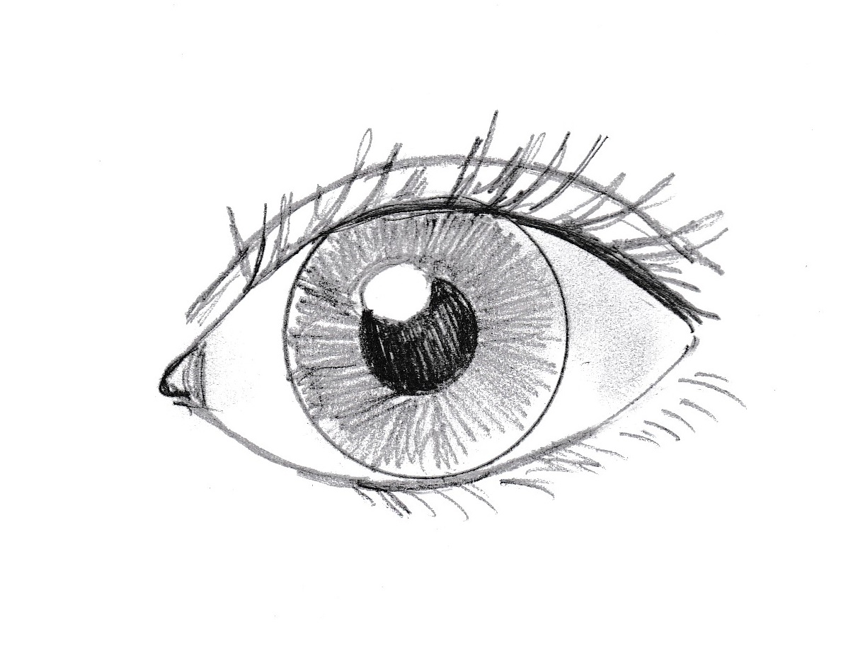 Eyeball Simple Drawing Image