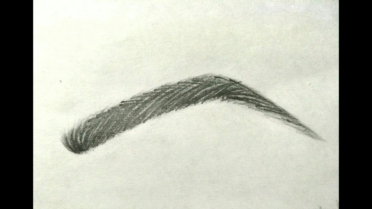 Eyebrow Art Drawing