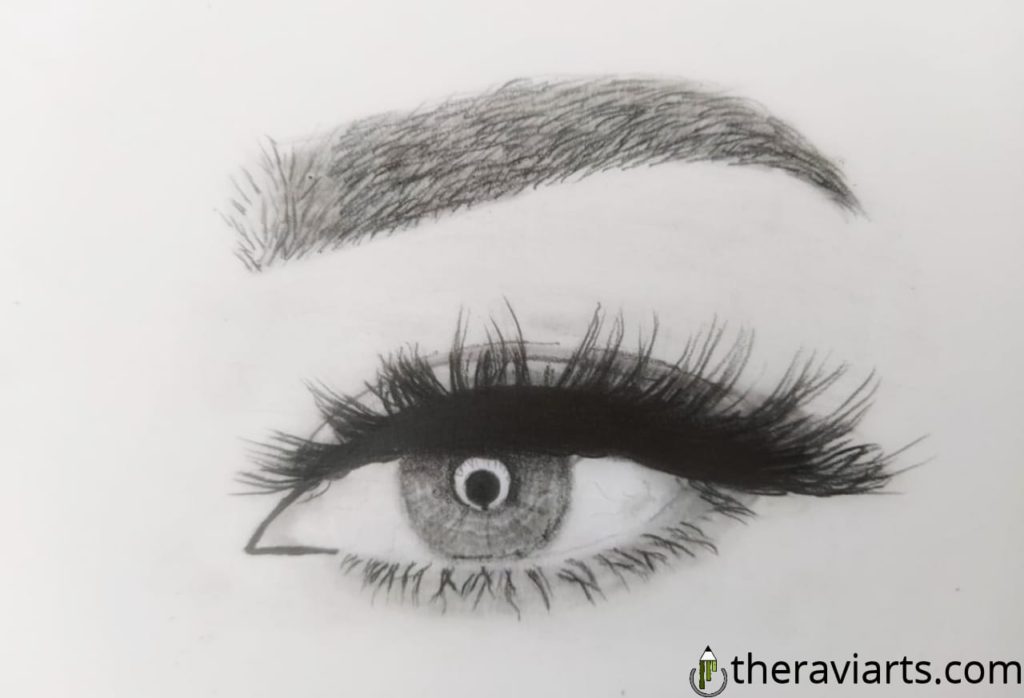 Eyebrow Drawing High-Quality