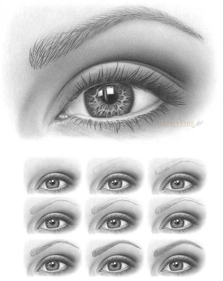 Eyebrow Drawing Pictures