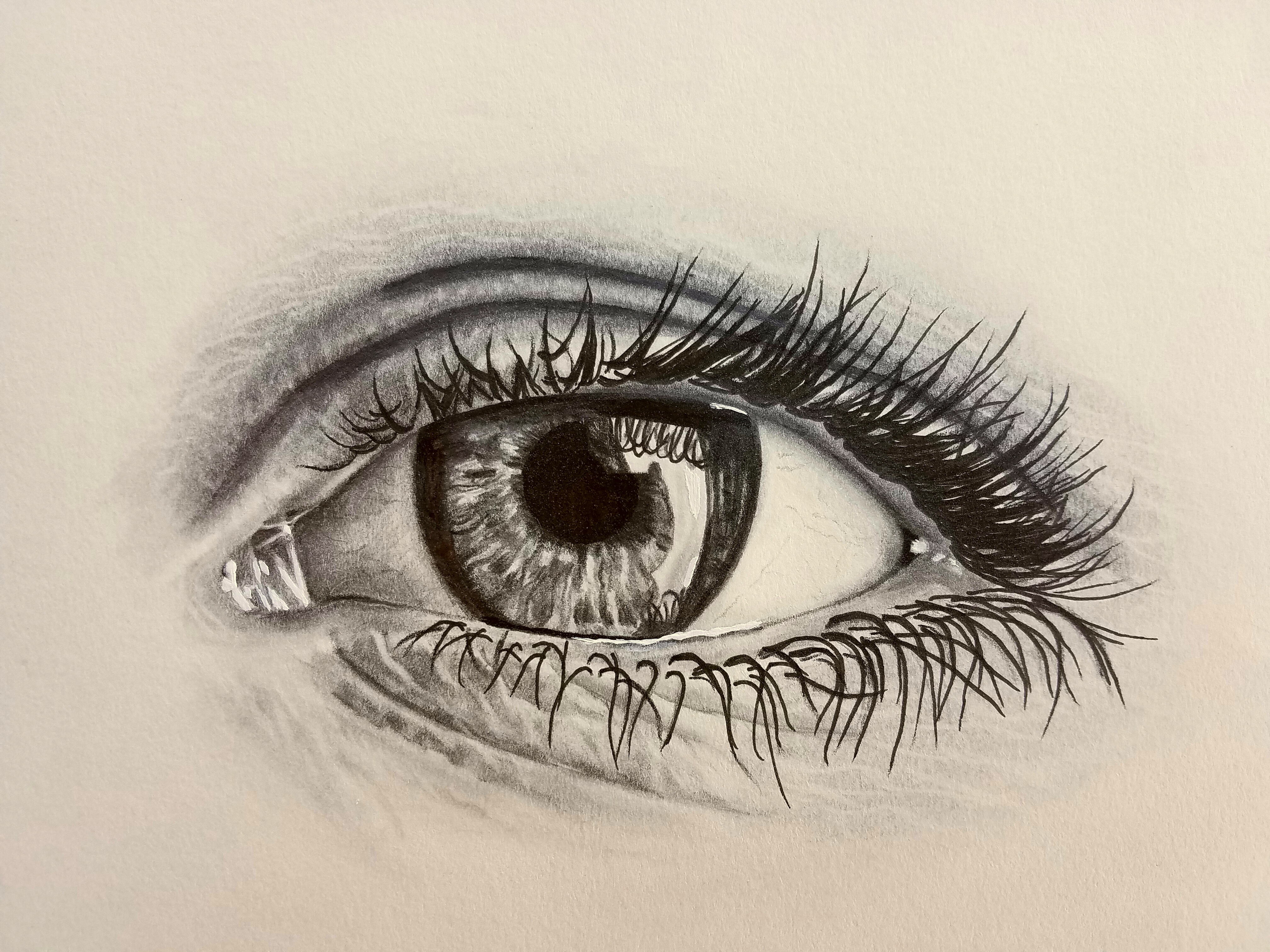 Eyelash Drawing Sketch