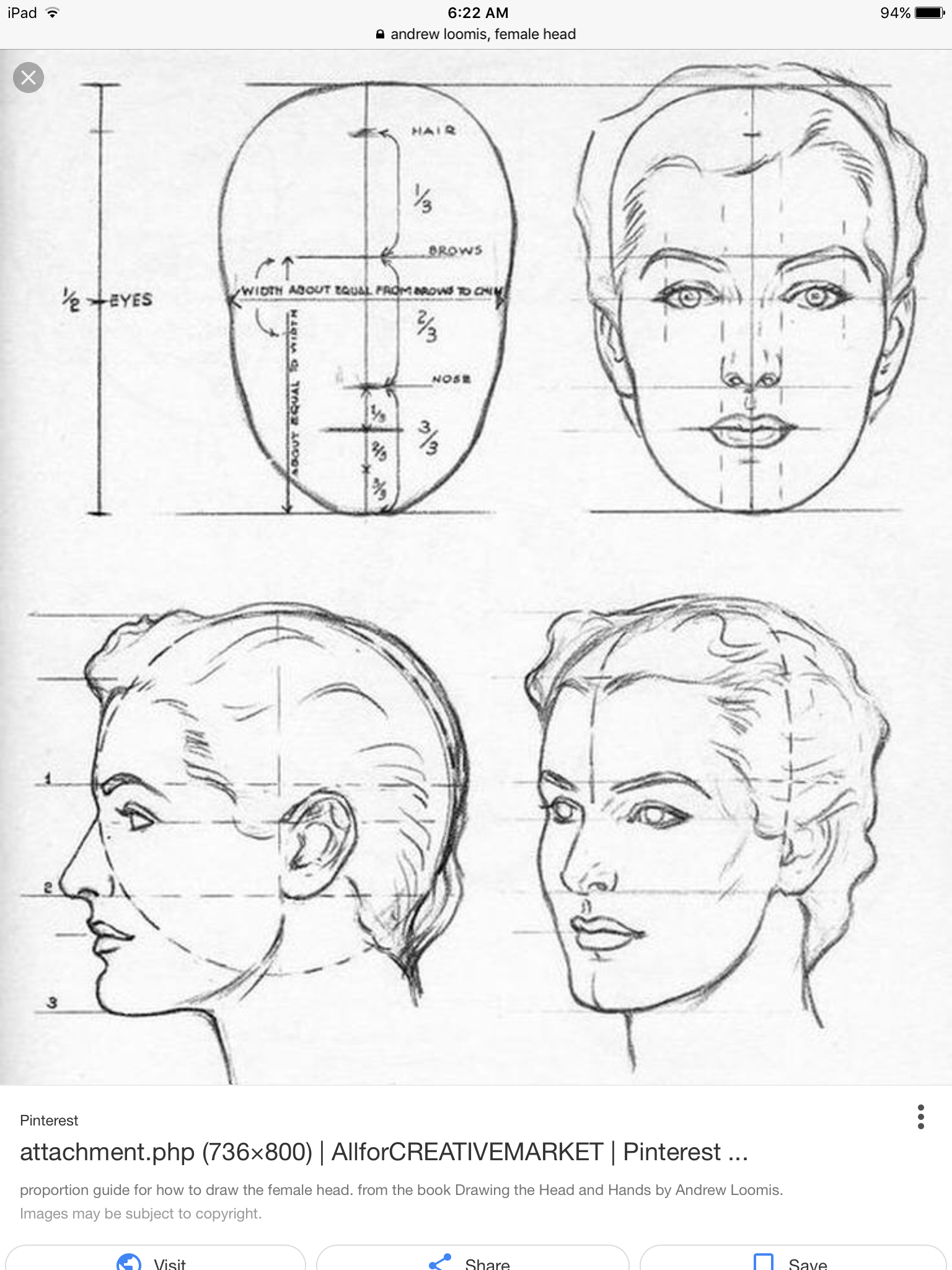 Face Anatomy Drawing Art