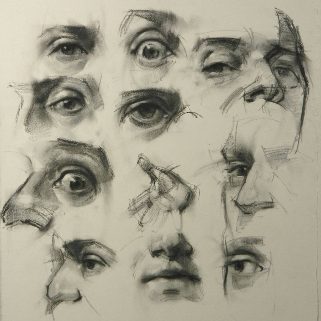 Face Anatomy Drawing High-Quality