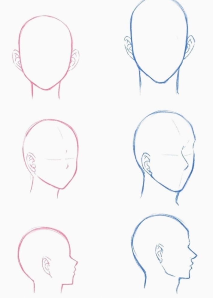 Face Base Drawing Pic