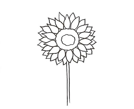 Aesthetic Sunflower Best Drawing
