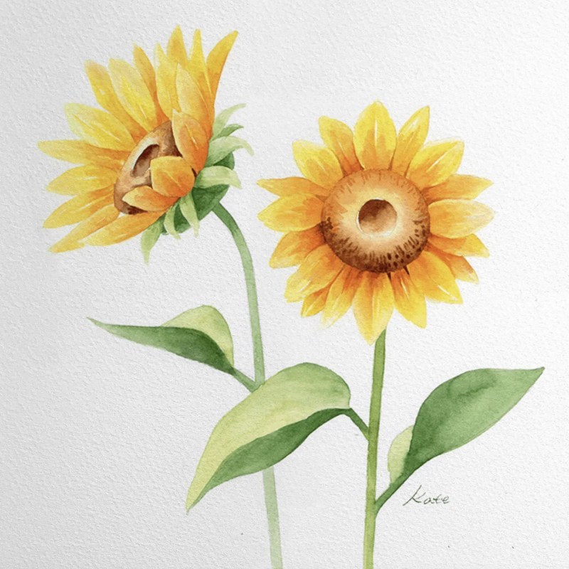 Aesthetic Sunflower Drawing Beautiful Image