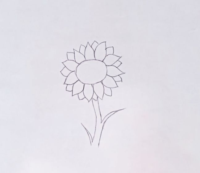 Aesthetic Sunflower Drawing Photo