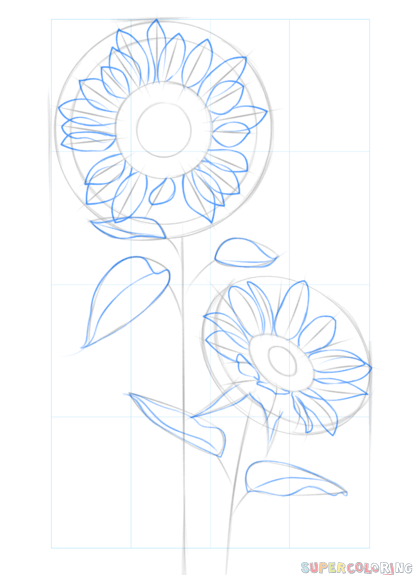 Aesthetic Sunflower Drawing Picture