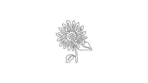 Aesthetic Sunflower Drawing Realistic