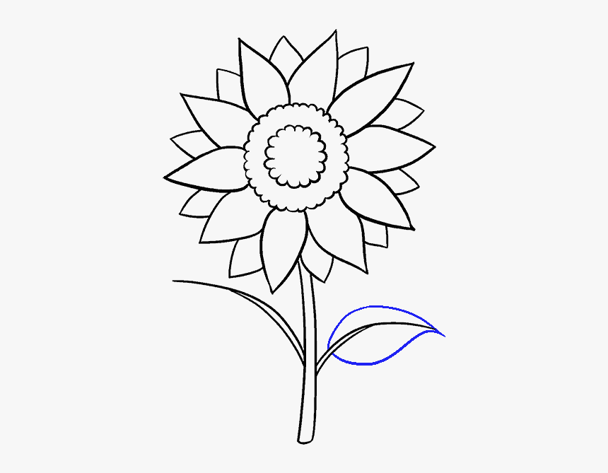 Aesthetic Sunflower Drawing Sketch