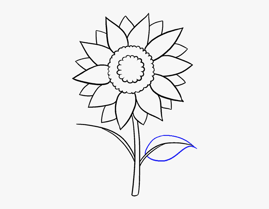 How To Draw a Sunflower 10 EASY Drawing Projects