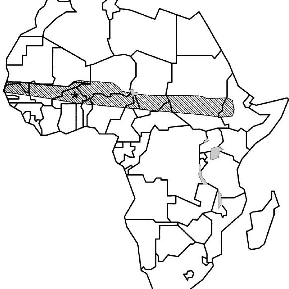Africa Drawing