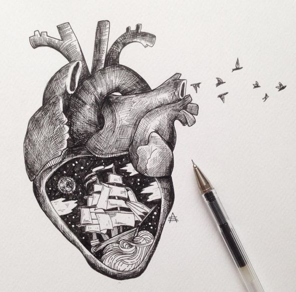 Anatomical Heart Art Drawing