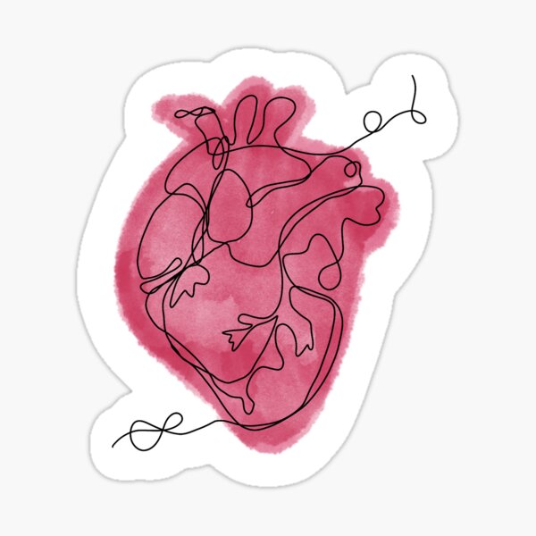 Anatomical Heart Drawing Amazing