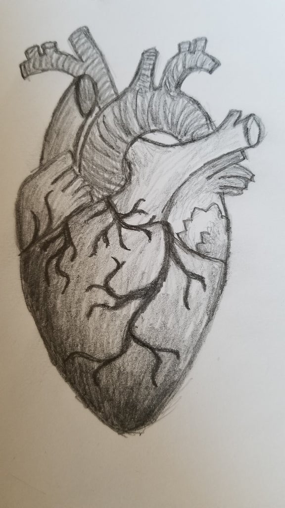 Anatomical Heart Drawing Beautiful Image