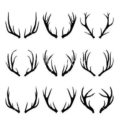 Antler Drawing Beautiful Art