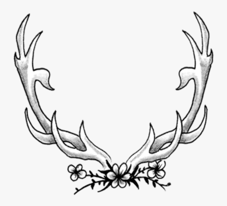 Antler Drawing Images