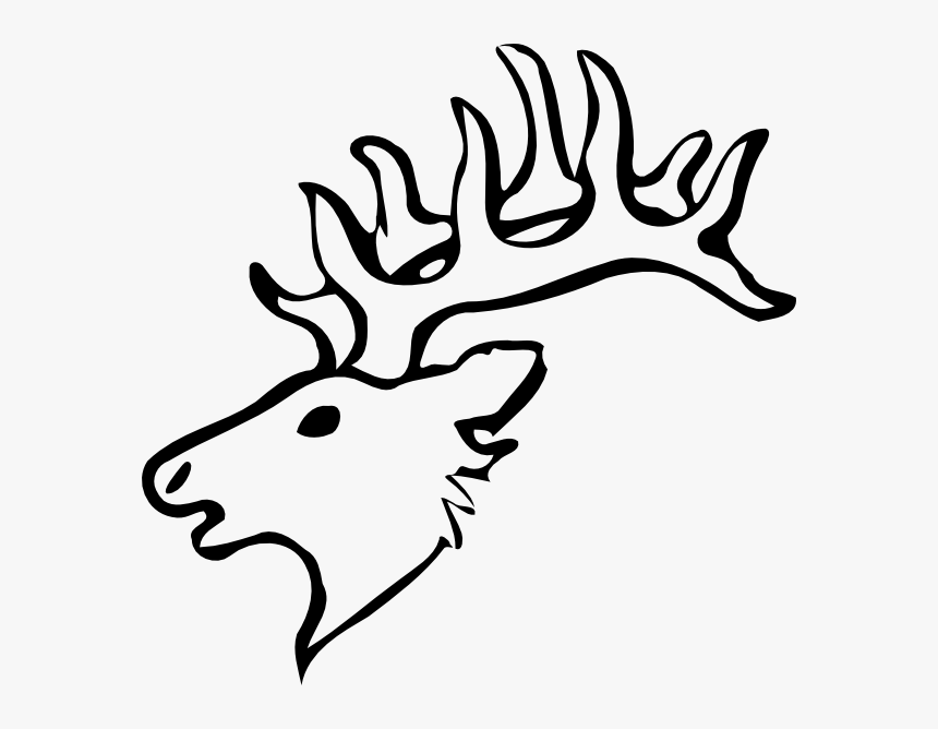 Antler Drawing Photos