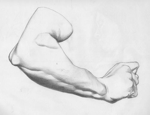 Arm Drawing Photo