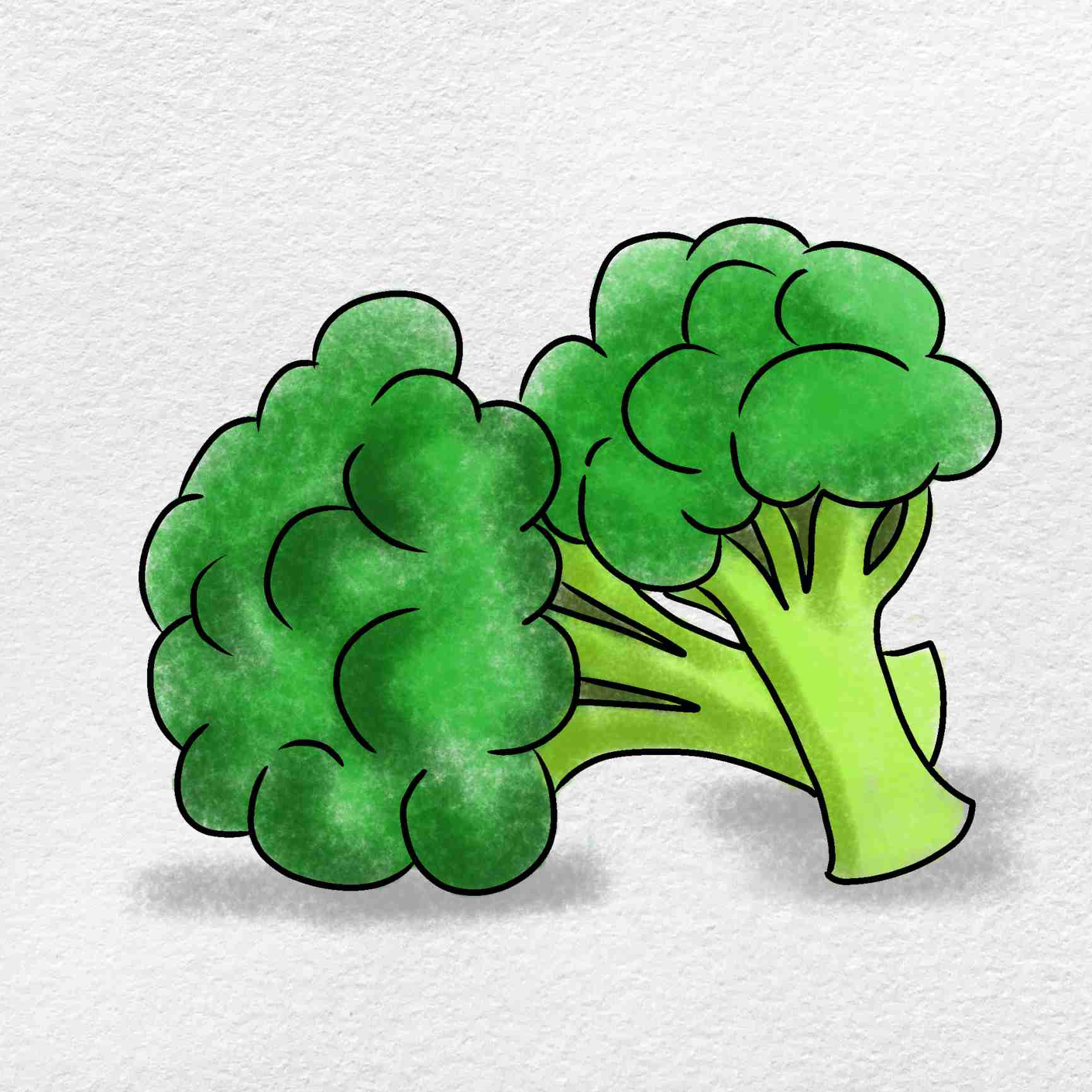 Broccoli Drawing Art