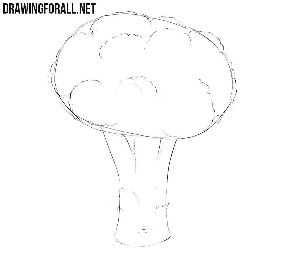Broccoli Drawing Beautiful Image