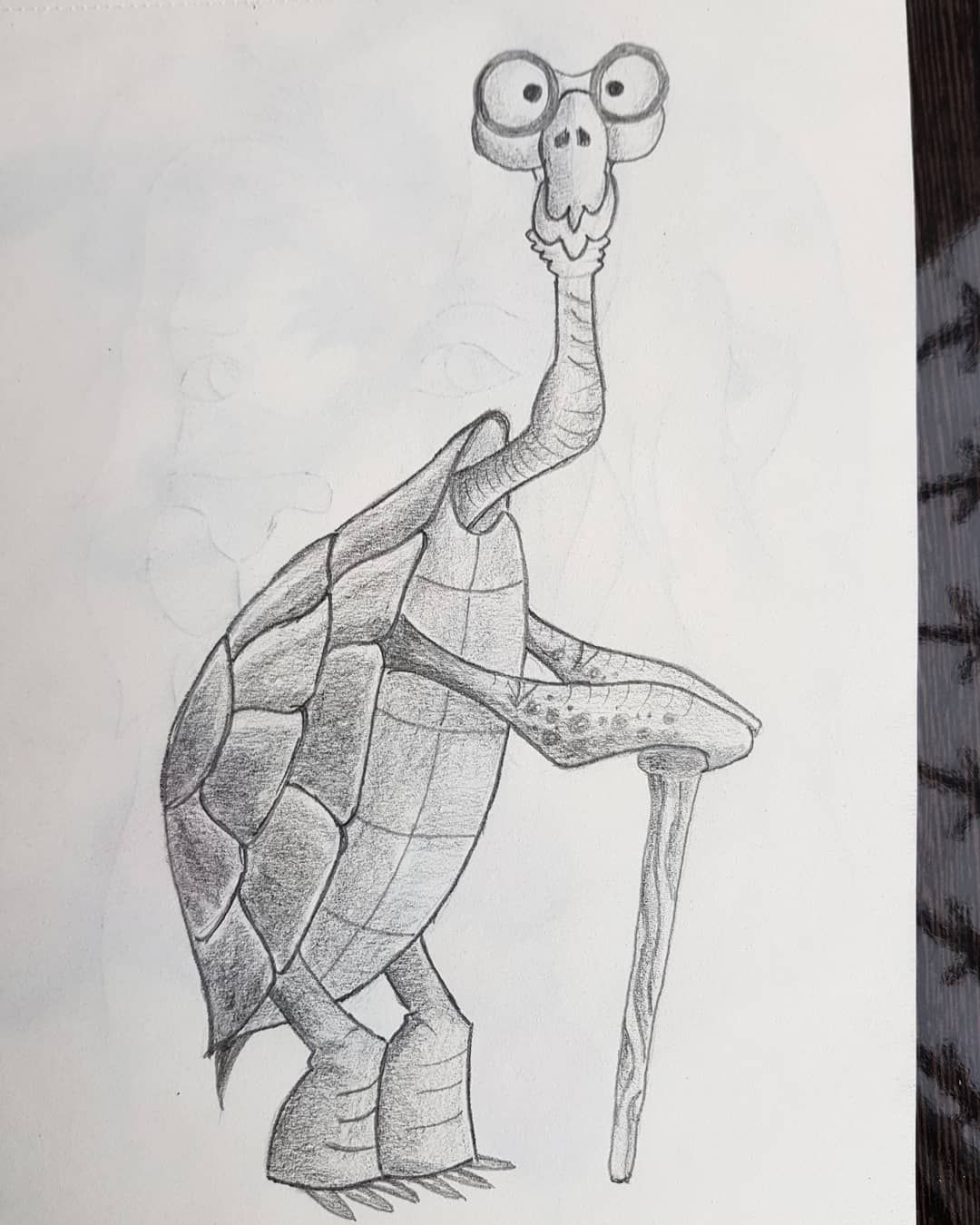 Cartoon Turtle Drawing Image