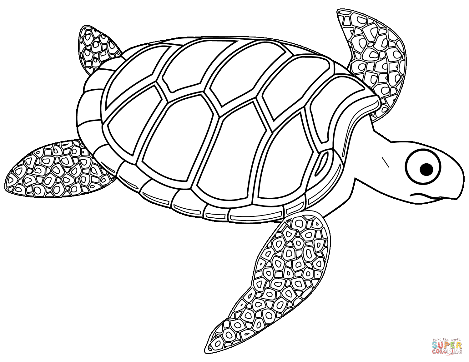 Sea turtle drawing 2 by Naomi Veitch