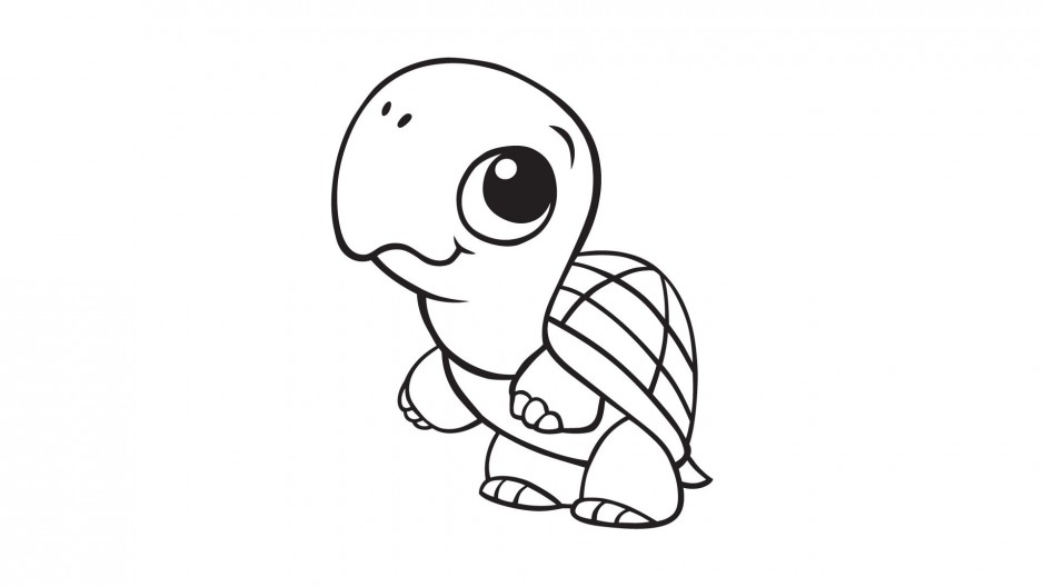 Cartoon Turtle Drawing Pic