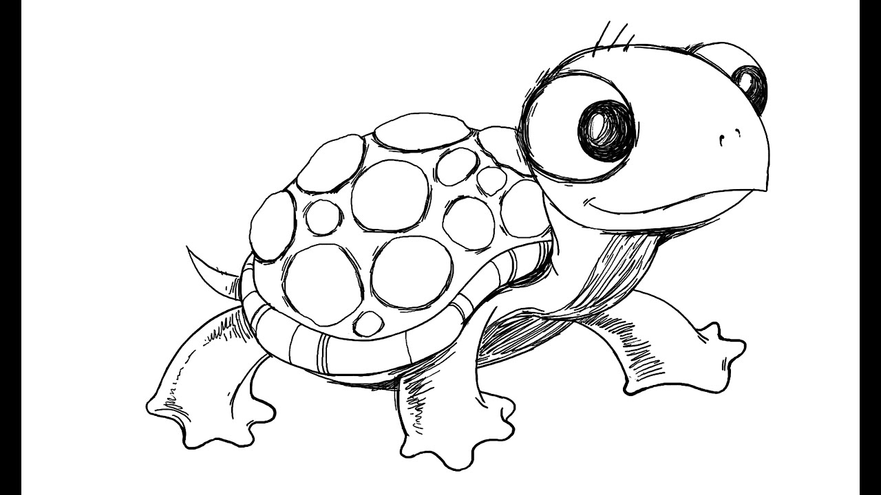Cartoon Turtle Drawing Realistic