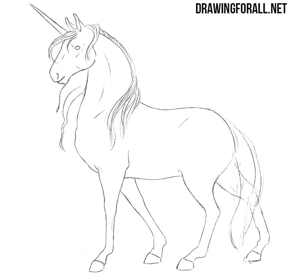 Cartoon Unicorn Drawing High-Quality
