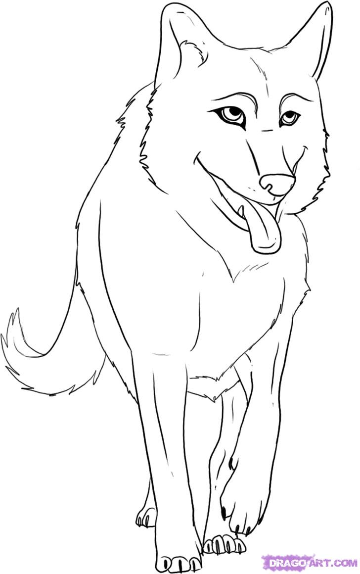 Cartoon Werewolf Drawing Amazing