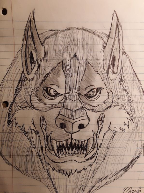 Cartoon Werewolf Drawing Art