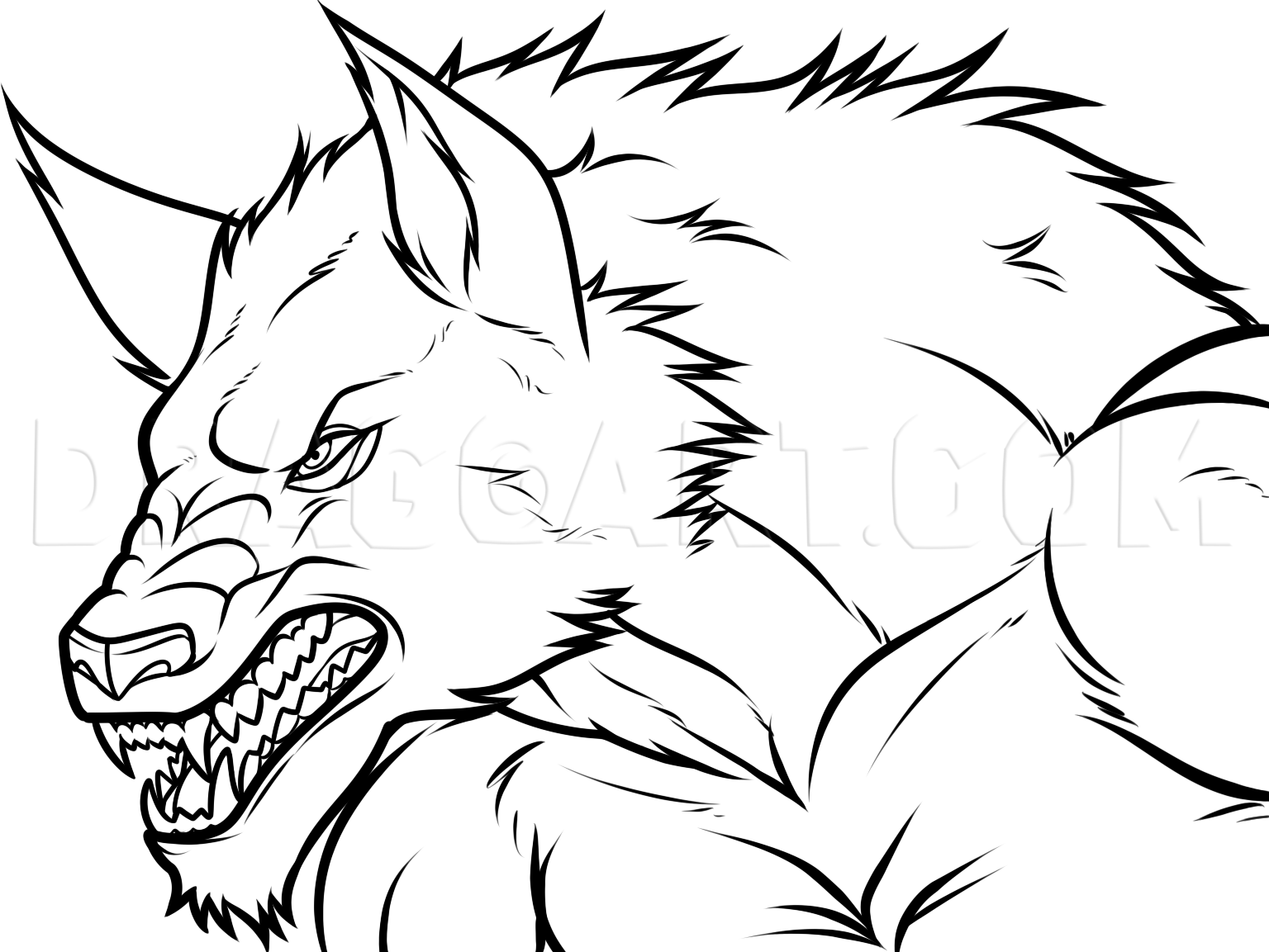 Cartoon Werewolf Drawing Picture