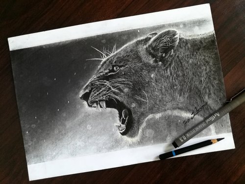 Charcoal Pencil Drawing Beautiful Image