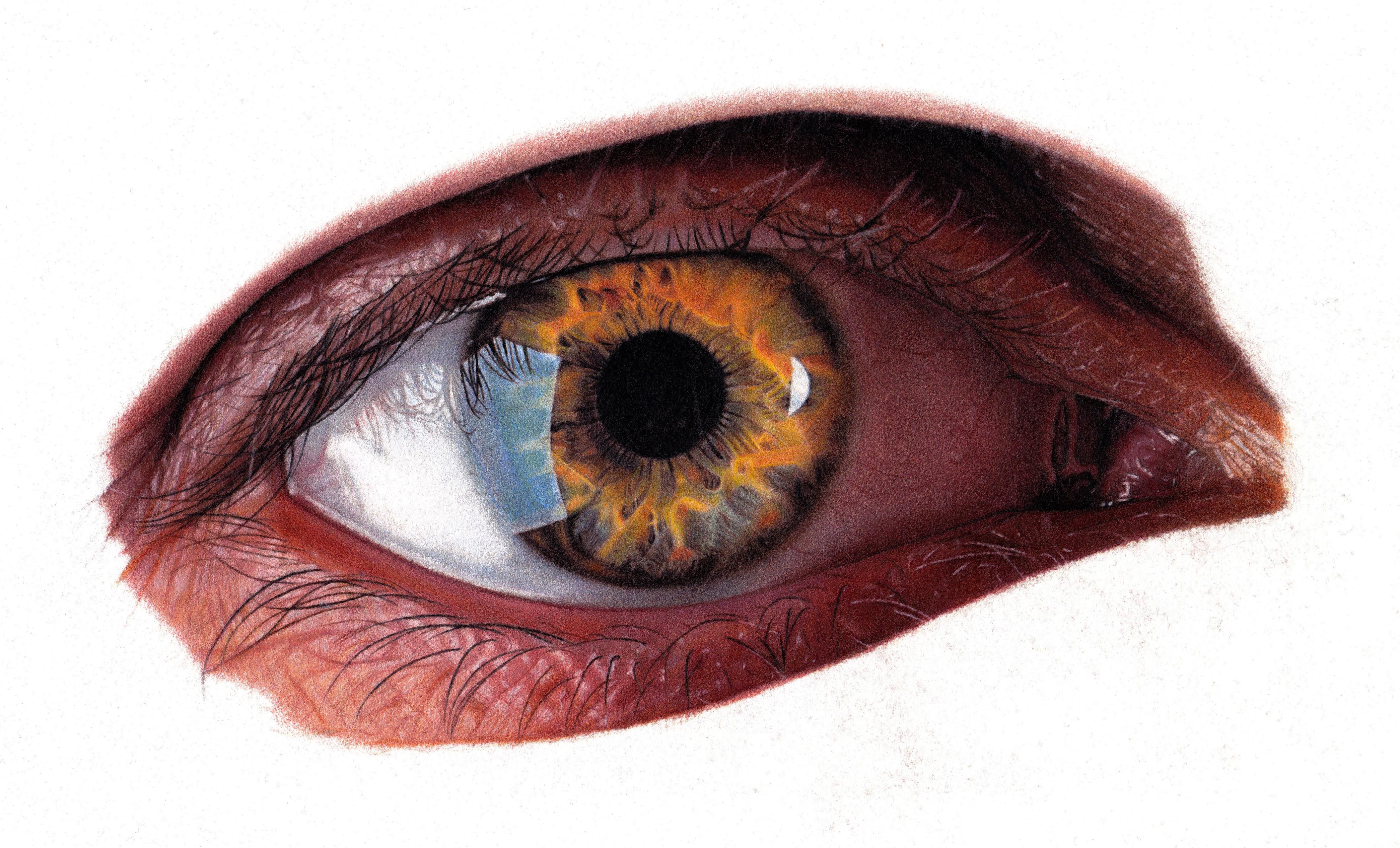 Color Eye Drawing Picture