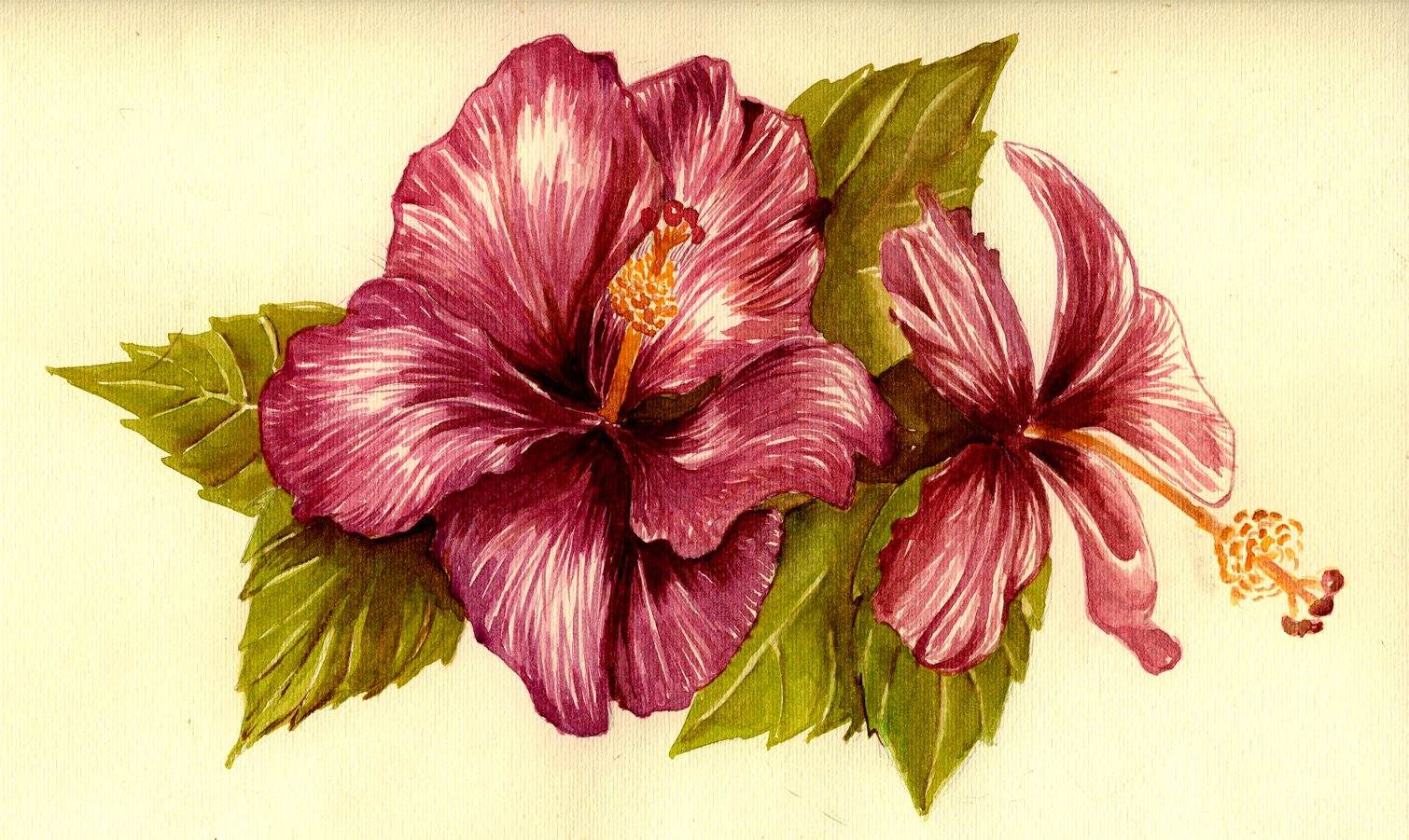 Color Flower Drawing Art