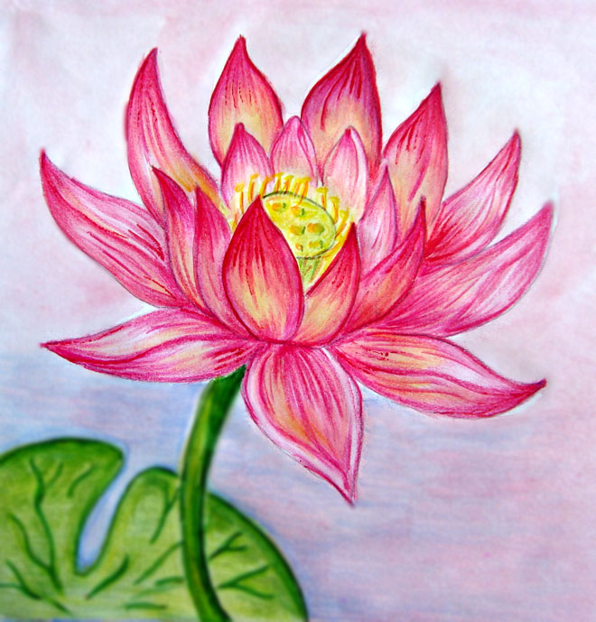 Color Flower Drawing Beautiful Image