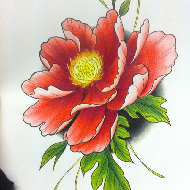 Color Flower Drawing Pics