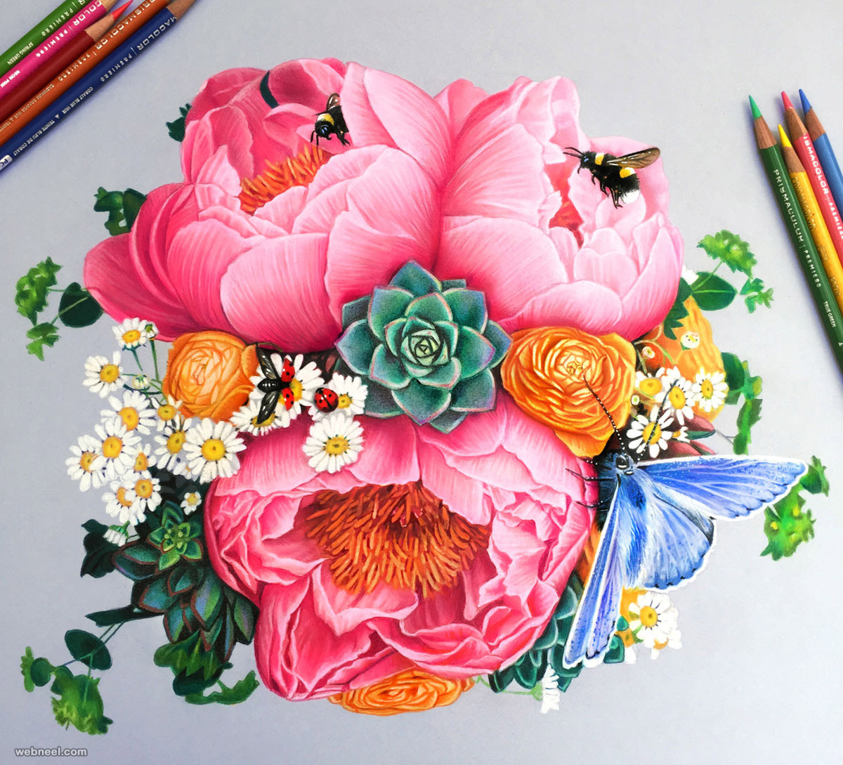 Color Flower Drawing