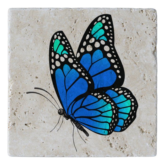 Colored Butterfly Best Drawing