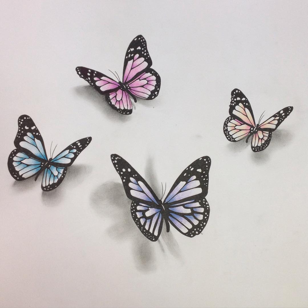 Colored Butterfly Drawing Beautiful Art