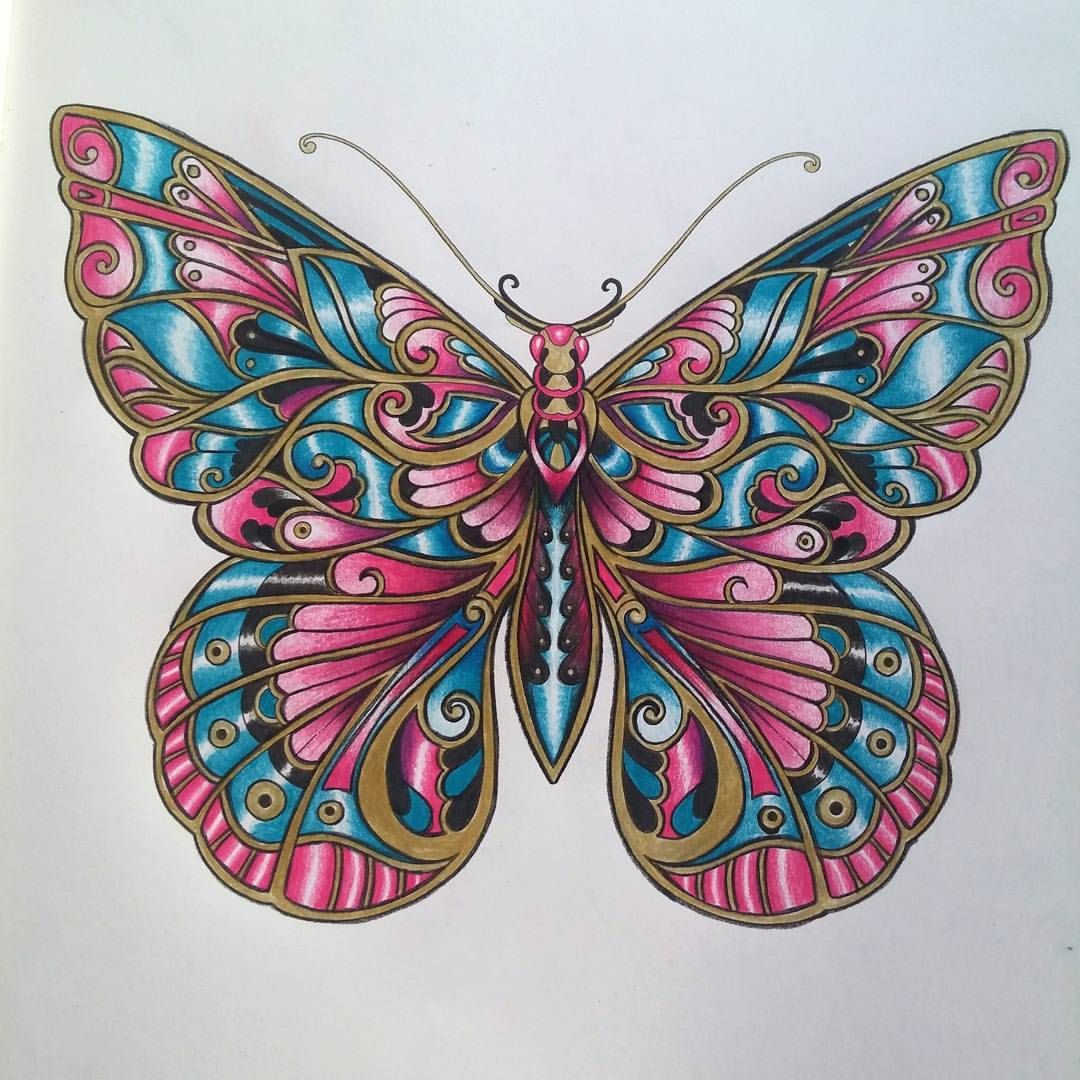 Colored Butterfly Drawing Image
