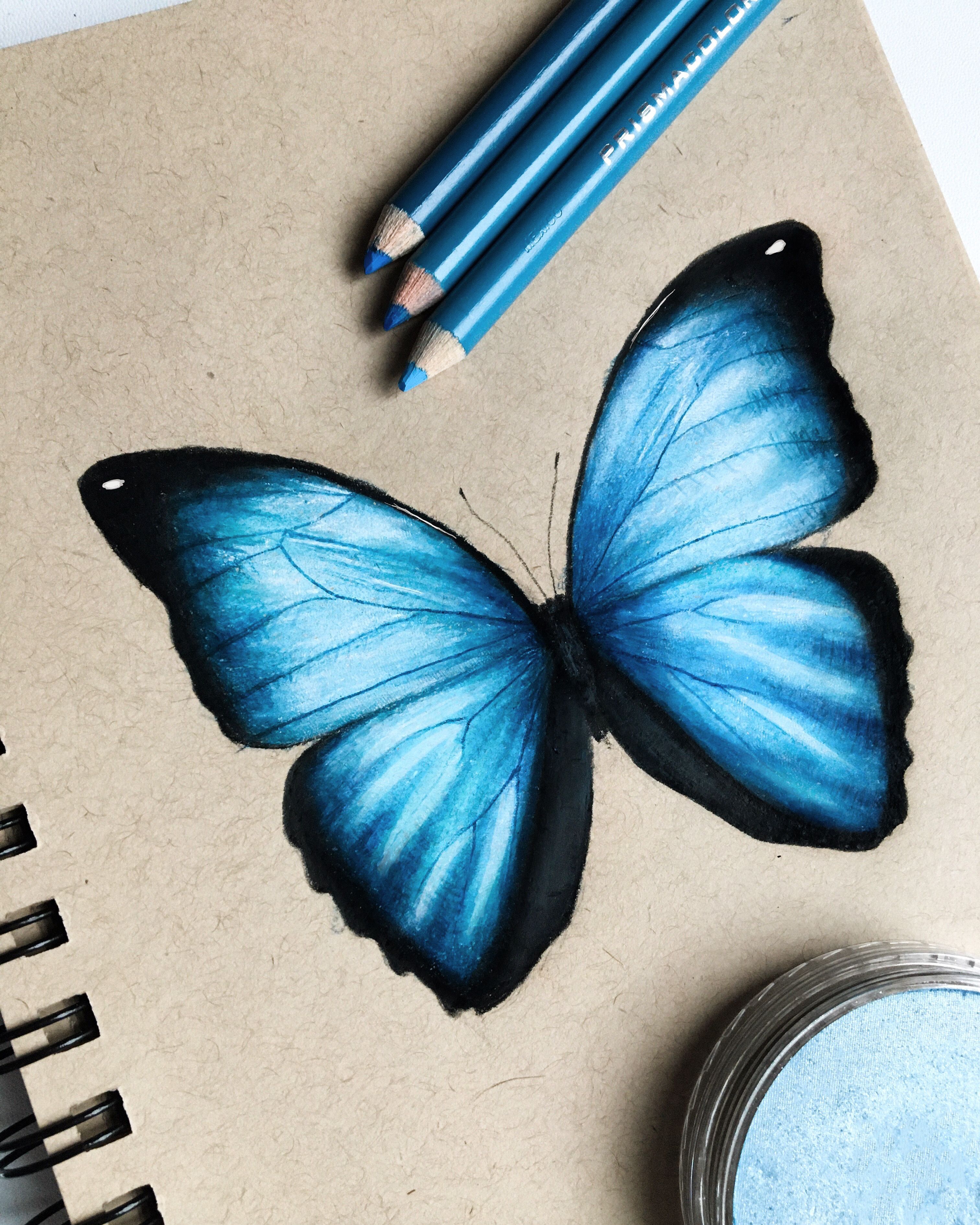 Colored Butterfly Drawing Images