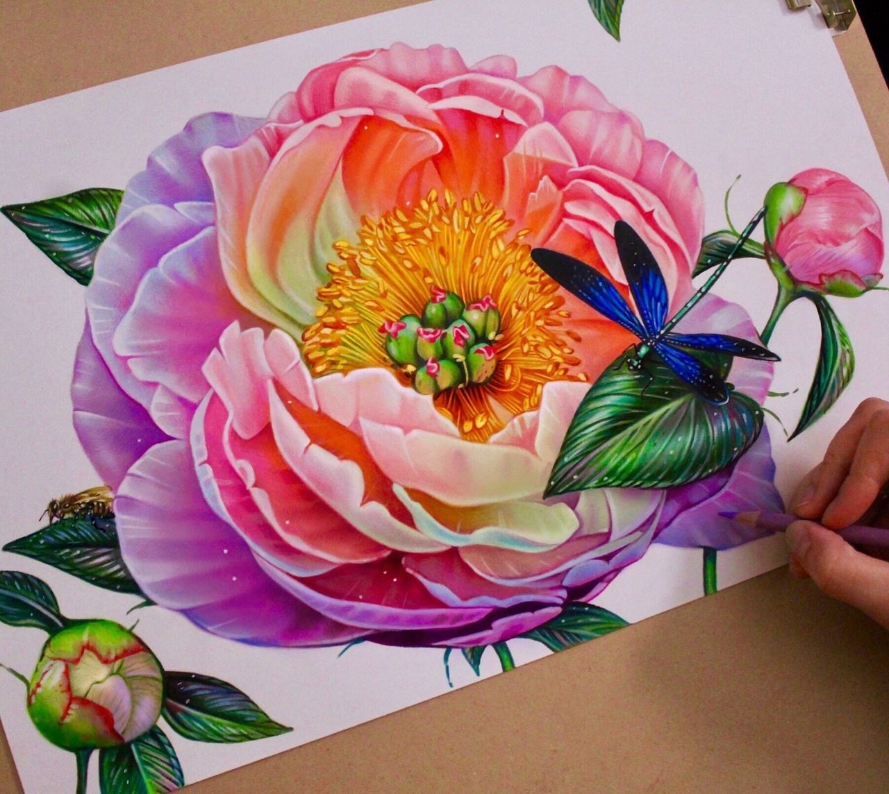 Colorful Flowers Drawing Beautiful Art