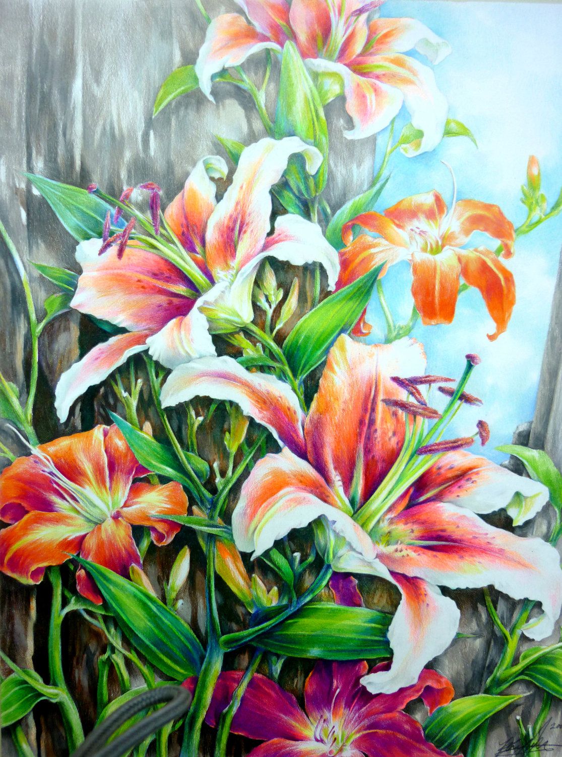 Colorful Flowers Drawing High-Quality