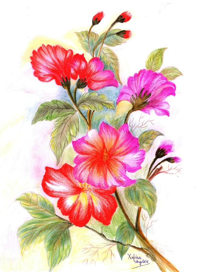 Colorful Flowers Drawing Images