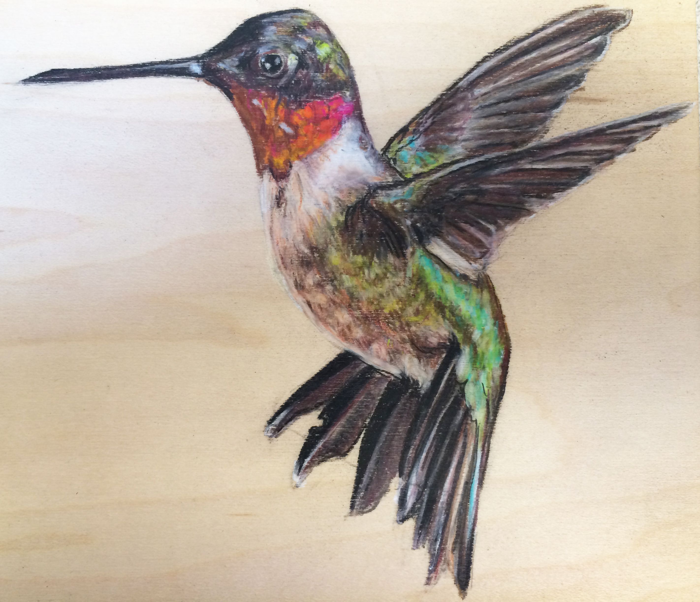 Colorful Hummingbird Art Drawing