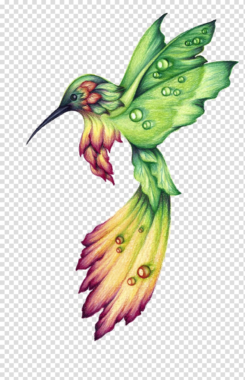 Colorful Hummingbird Drawing Art